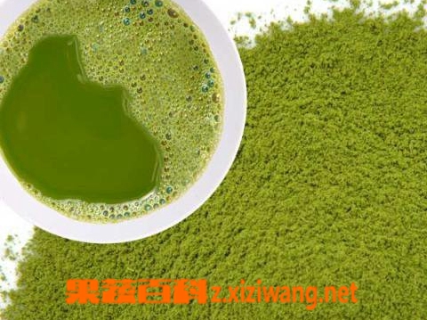 绿茶粉面膜_绿茶_做法
