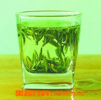 喝绿茶的好处和坏处_绿茶_做法,功效和作用,营