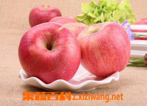 苹果的营养价值与功效 吃苹果的好处_苹果_做