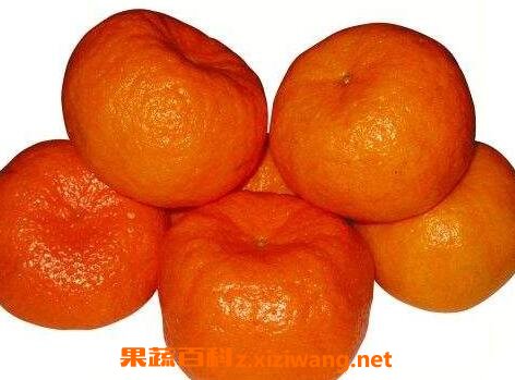 吃芦柑的好处有哪些 芦柑的营养价值_橘子_做