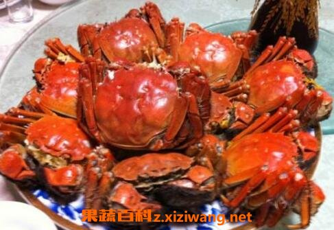 螃蟹要蒸多久能熟 蒸螃蟹方法教程_海鲜食材_
