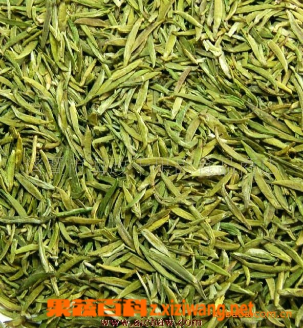 果蔬百科绿茶的品质特征