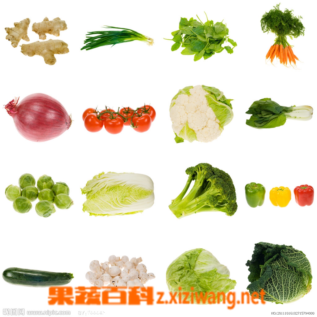深圳龙华蔬菜配送公司：绿色蔬菜与无公害蔬菜，有机蔬菜的区别 | 宏鸿集团