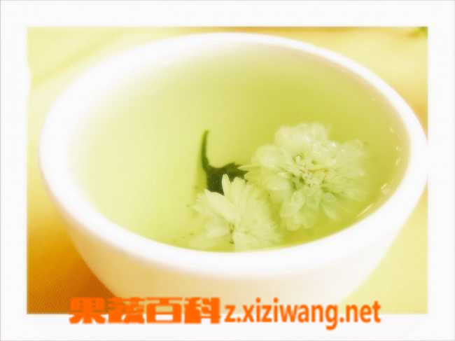 白菊花的功效与作用 花茶 做法 功效与作用 营养价值z Xiziwang Net