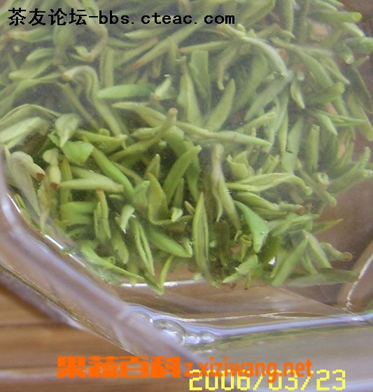 果蔬百科毛峰茶