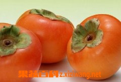 果蔬百科柿子