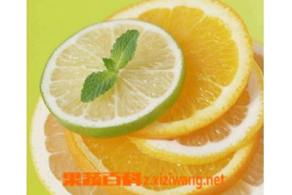 柠檬养生功效和贮存方法