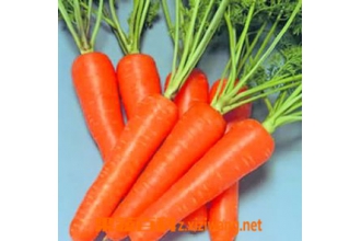 胡萝卜的营养价值 胡萝卜防癌抗