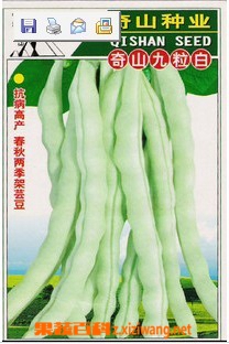 果蔬百科芸豆