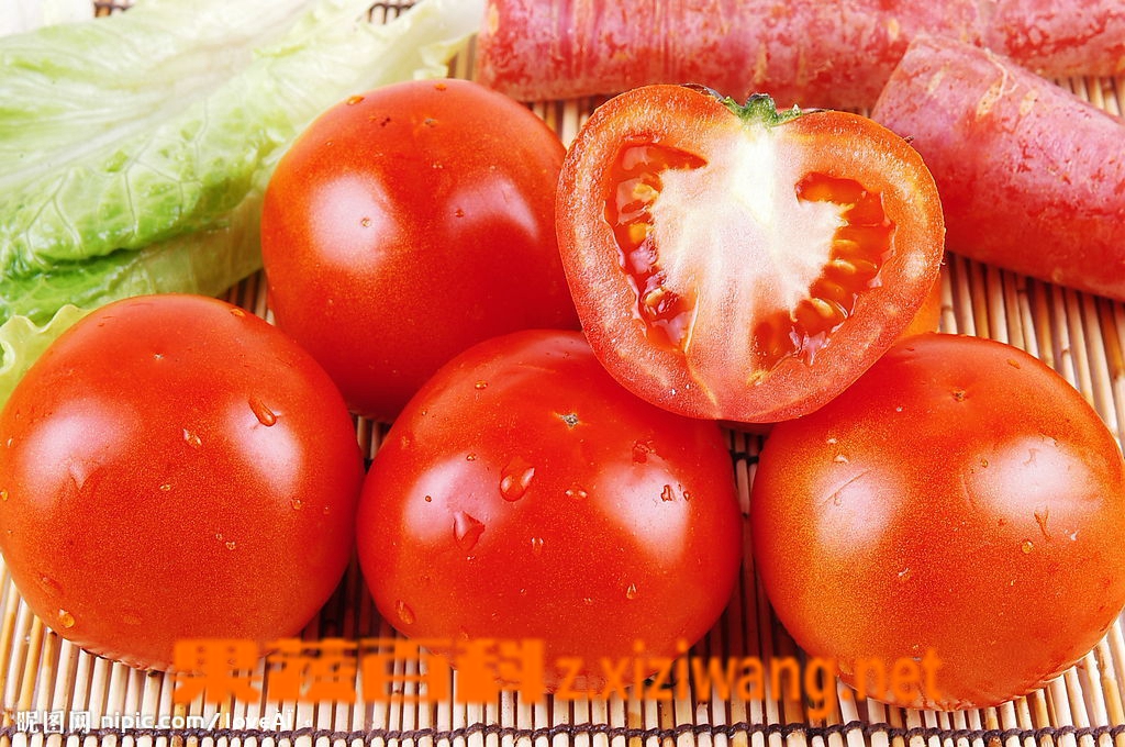 果蔬百科西红柿