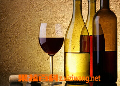 葡萄酒保质期葡萄酒保质期一般是多长时间,葡萄酒保质期过子能喝吗