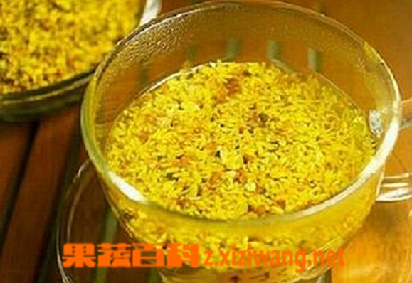 桂花茶的材料和做法步骤 花茶 做法 功效与作用 营养价值z Xiziwang Net