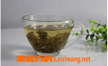 人参花泡水喝功效 花茶 做法 功效与作用 营养价值z Xiziwang Net