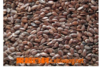 �����ӵĹ�Ч������