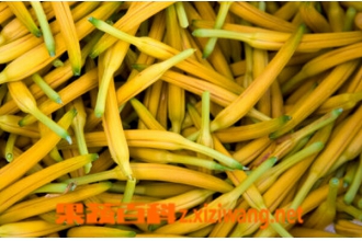 新鲜黄花菜的保存方法