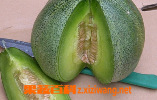 果蔬百科绿宝香瓜
