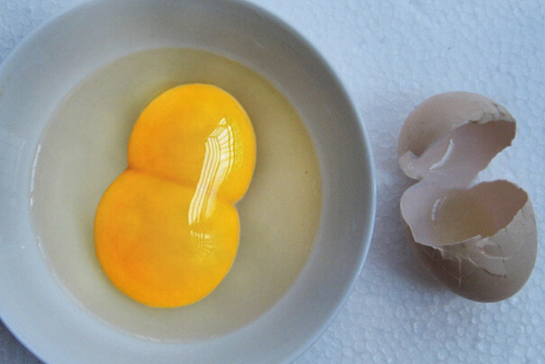 果蔬百科双黄蛋是用激素催出来的吗