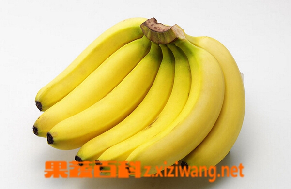 果蔬百科每天吃香蕉的七大好处