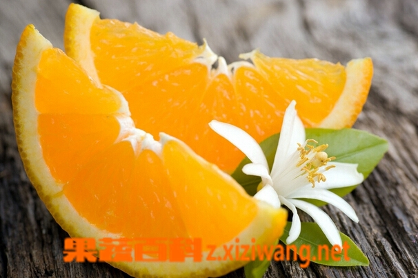 果蔬百科女人吃橙子的好处有哪些