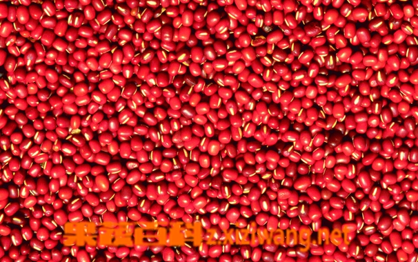 红豆的营养价值与功效