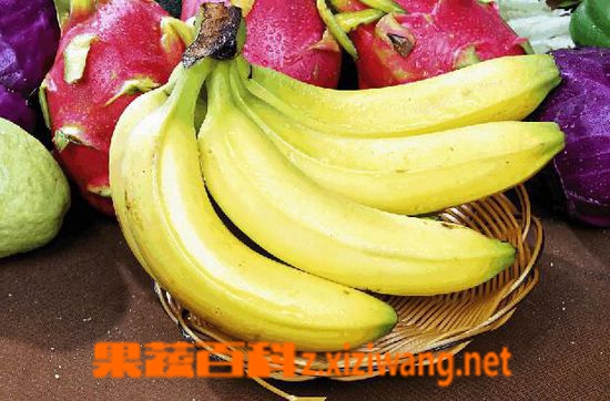 果蔬百科香蕉为什么会变质 香蕉变质原因有哪些