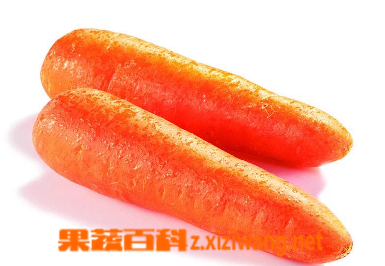 常吃胡萝卜有哪些功效与作用