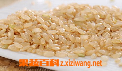 糙米的营养价值 糙米吃法