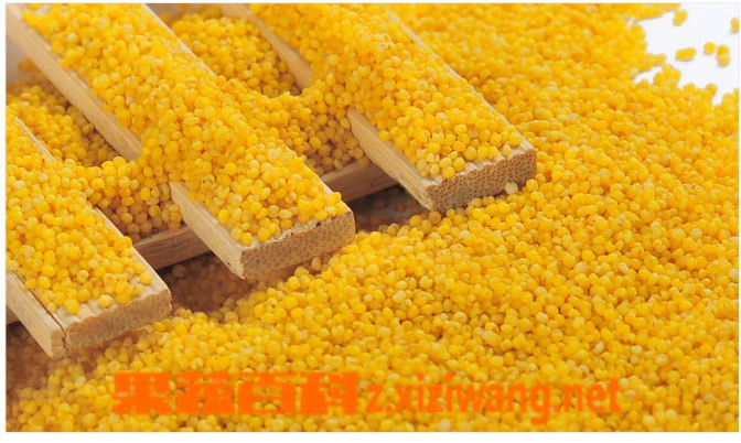 黄小米的功效与作用 黄小米的食用方法