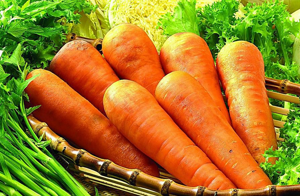 果蔬百科胡萝卜的营养价值