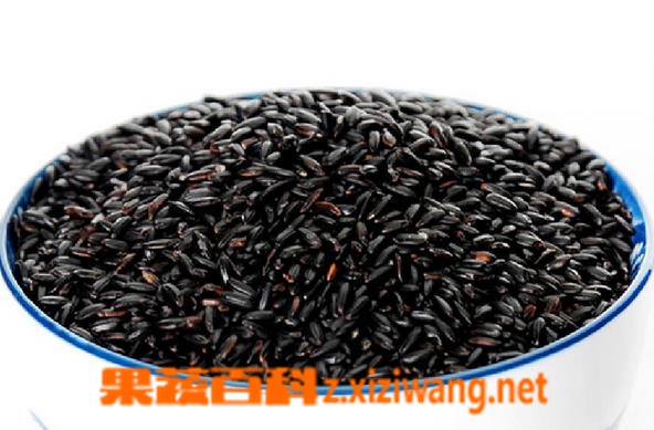 黑糯米的功效与作用 黑糯米的食用方法