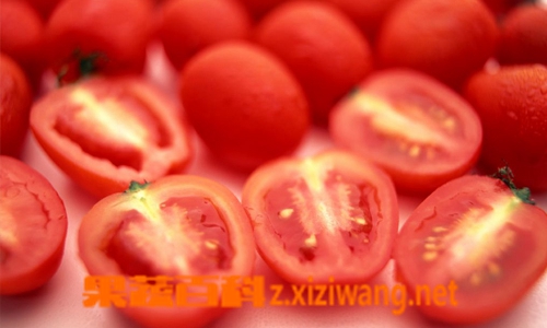 果蔬百科吃西红柿的好处和坏处