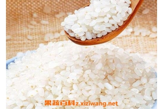 吃粳米会发胖吗 粳米的功效与作用