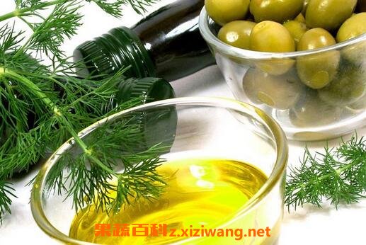 橄榄油的最佳吃法与常见用法
