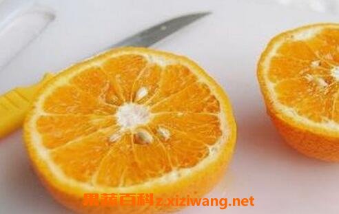 橙子籽的功效与作用