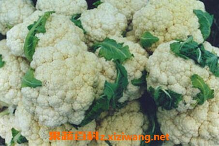 白菜花的营养价值吃白菜花的好处 花椰菜 做法 功效与作用 营养价值z Xiziwang Net