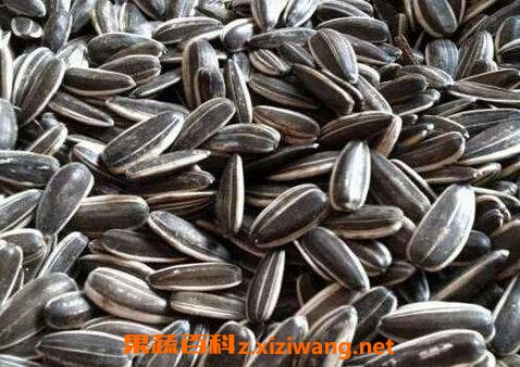 葵花籽壳的作用葵花籽壳的营养价值 水果知识 做法 功效与作用 营养价值z Xiziwang Net