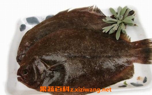 左口鱼的营养价值吃左口鱼的好处 海鲜食材 做法 功效与作用 营养价值z Xiziwang Net