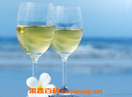 白葡萄酒怎么喝 白葡萄酒的喝法技巧