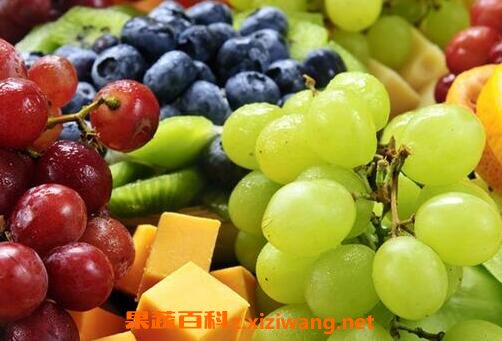 哪些水果能降血脂 常吃5种水果降血脂