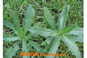 ����˵Ĺ�Ч������