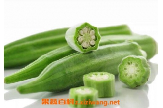 ��ǲ˵Ĺ�Ч������