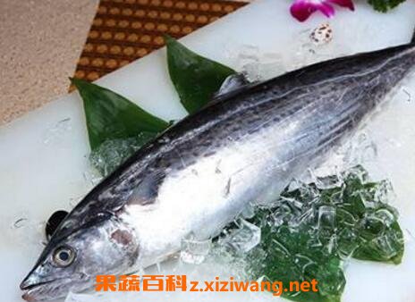 吃马鲛鱼的副作用怎么挑选马鲛鱼 海鲜食材 做法 功效与作用 营养价值z Xiziwang Net