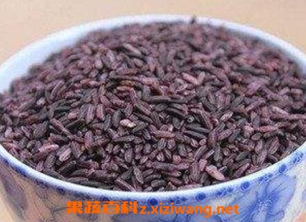 紫米与什么食物相克 紫米的功效