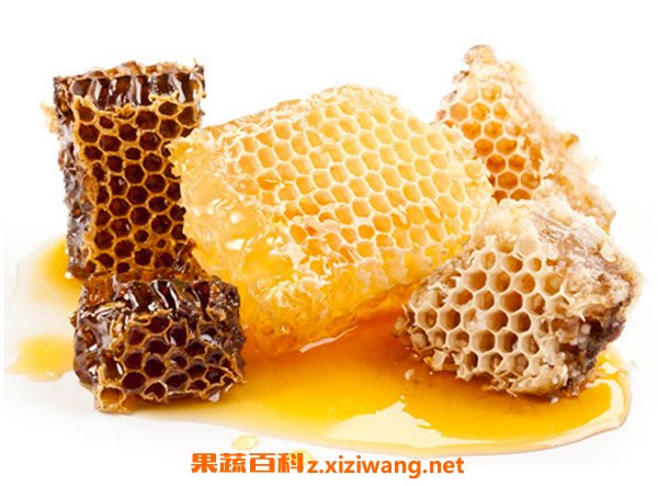 蜂蜜蜂蜡