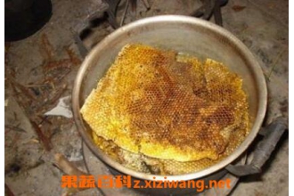 蜂巢如何提取蜂蜡 从蜂巢中提取蜂蜡方法技巧