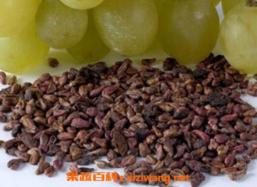 葡萄籽的功效与作用 葡萄籽的副作用