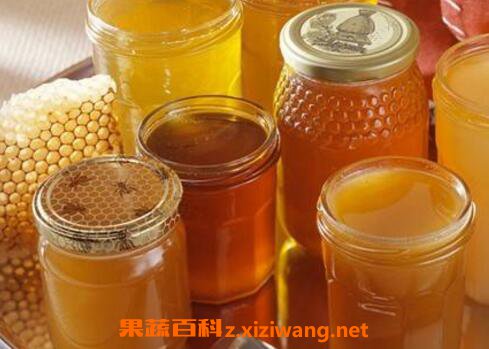 吃蜂蜜会减肥吗 蜂蜜减肥的正确吃法