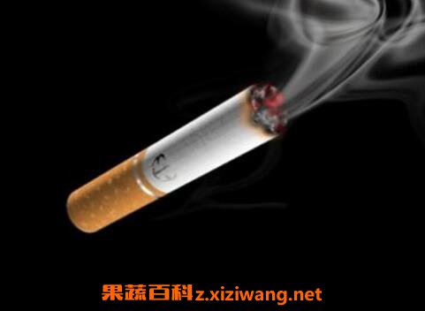 吸二手烟的危害有哪些 二手烟吸多了什么症状