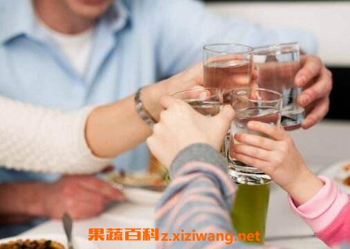 喝酒的坏处有哪些经常喝酒有什么坏处 保质期 做法 功效与作用 营养价值z Xiziwang Net