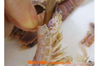 生虾怎么去皮 如何快速剥生虾壳